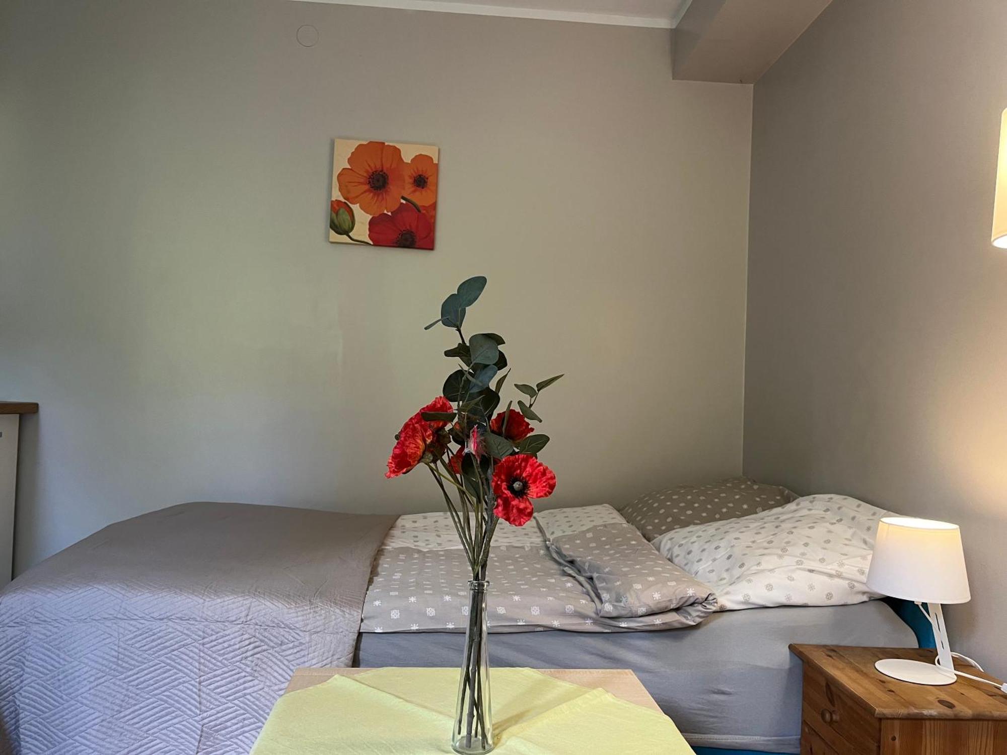 Guest house Zielony Domek 3*